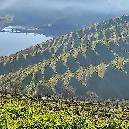 Casa Do Hospital-guest House * Abacas