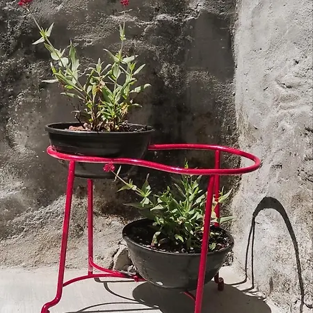 Casa Do Hospital-guest House Homestay