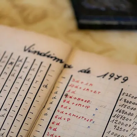 Casa Do Hospital-guest House * Abacas