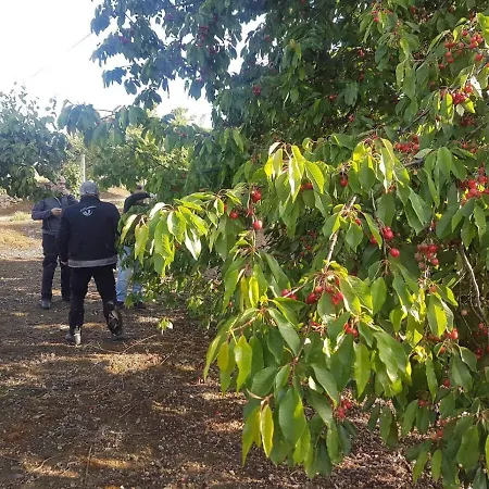 Проживание в семье Casa Do Hospital-guest House *