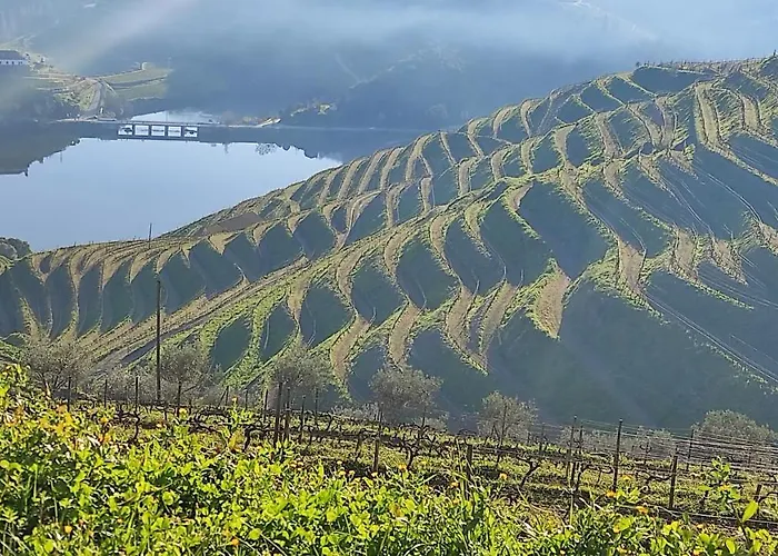 Casa Do Hospital-guest House * Abacas