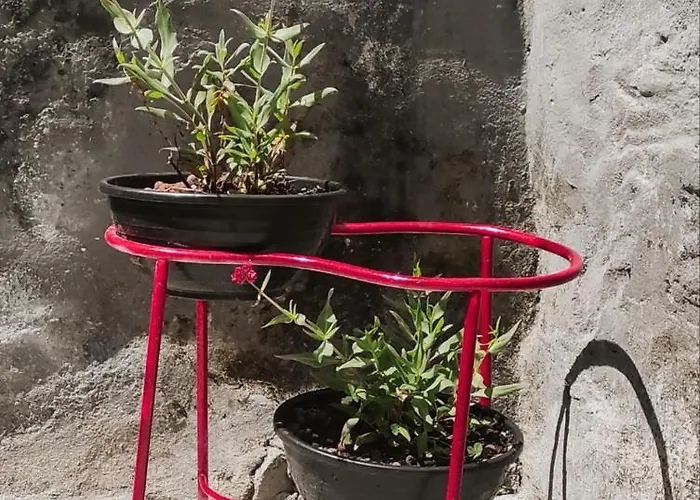 Casa Do Hospital-guest House בית אירוח