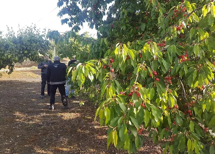 Rum i privatbostad Casa Do Hospital-guest House *